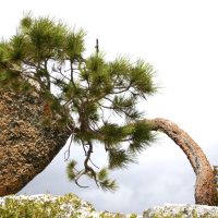 Your Organisational Development partner