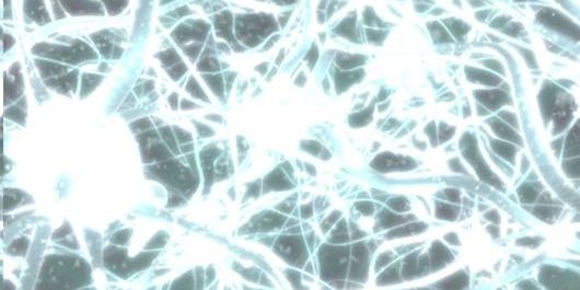 Lead in midst of change Picture of a complex organic network