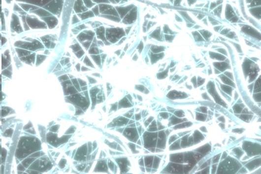 Picture of a complex organic network