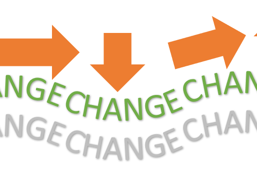 Organisational change. Finding your way