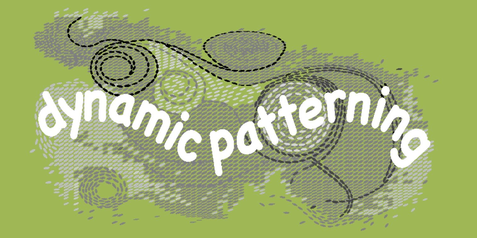 Dynamic Patterning - a murmuration