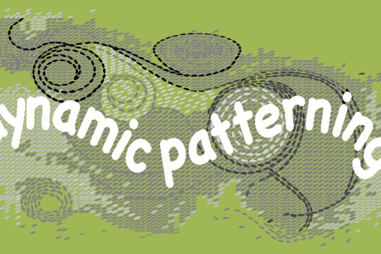 Dynamic Patterning - a murmuration