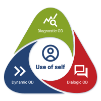Organisational Development framework