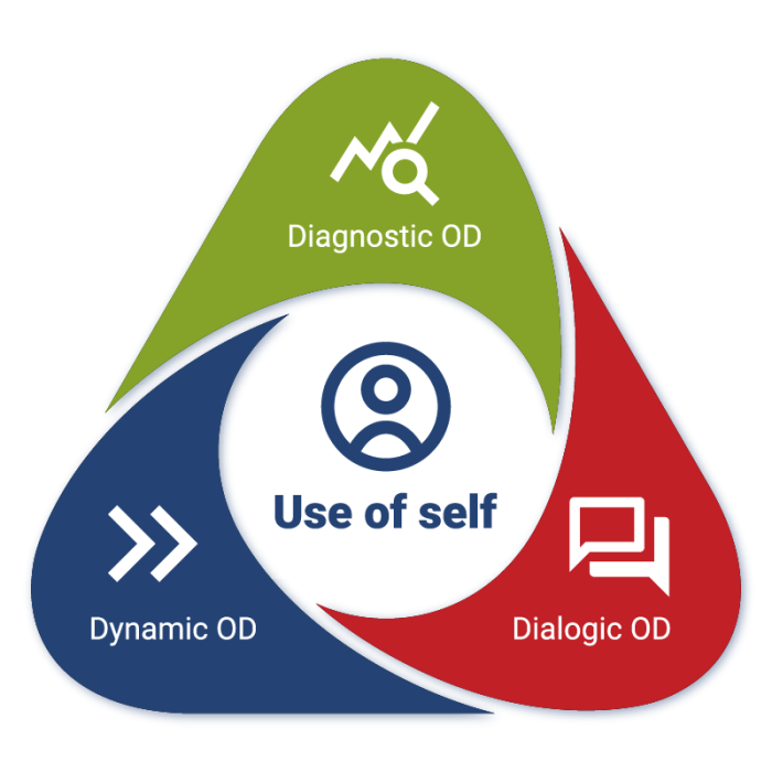 Organisational Development framework