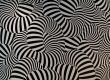 Complex abstract image of white and black striped rings