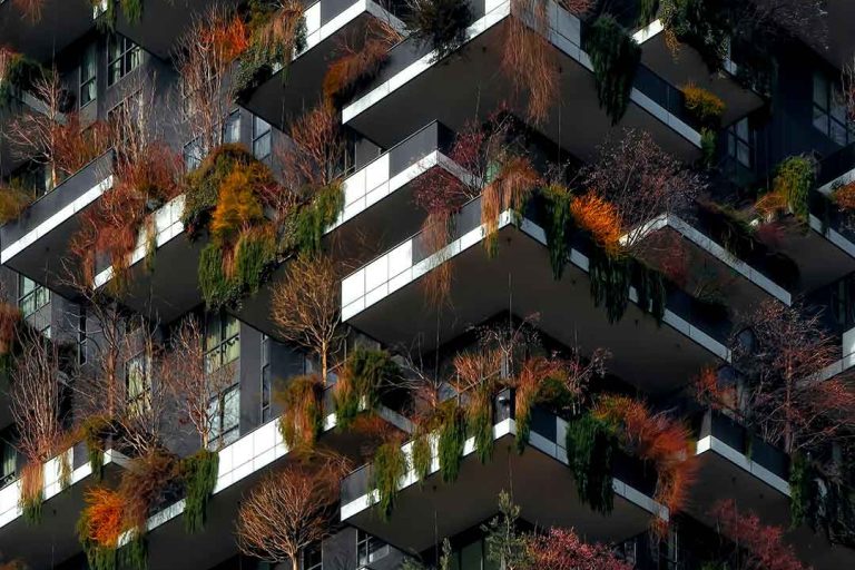 Organization Design | Organizational Design High rise building with plants and trees on the balconies.